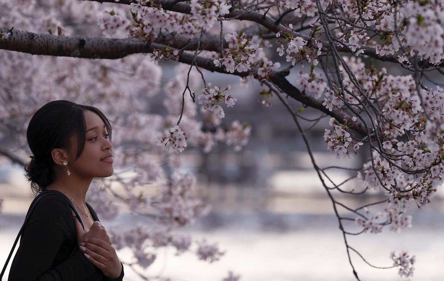 footer decorative image